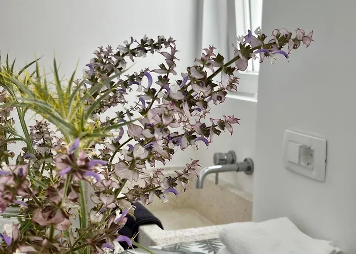 Sol Melba Boutique -