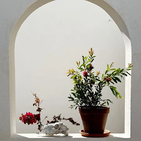 Sol Melba Boutique - Apartment
