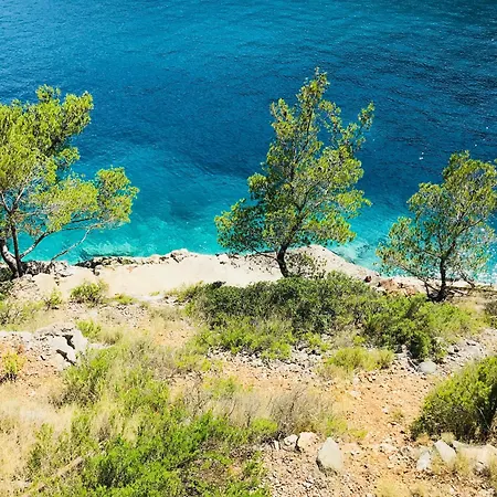 Sol Melba Boutique - *
