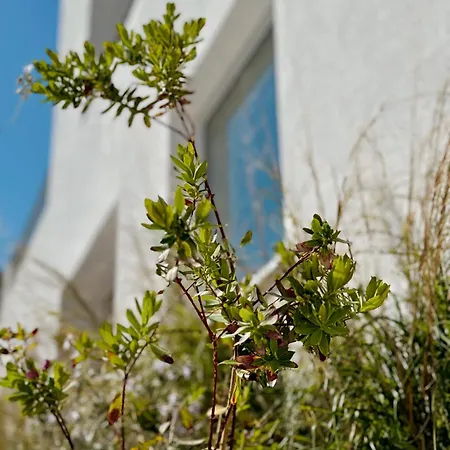 Apartment Sol Melba Boutique -