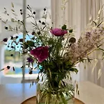 Sol Melba Boutique -