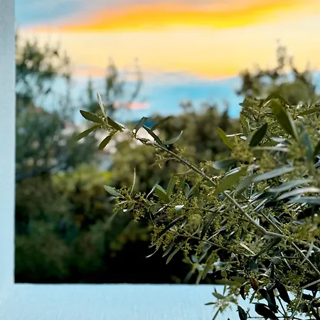 Apartament Sol Melba Boutique - *