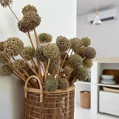 Sol Melba Boutique - * Maslinica