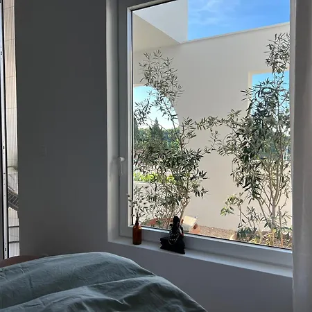 Sol Melba Boutique - * Maslinica