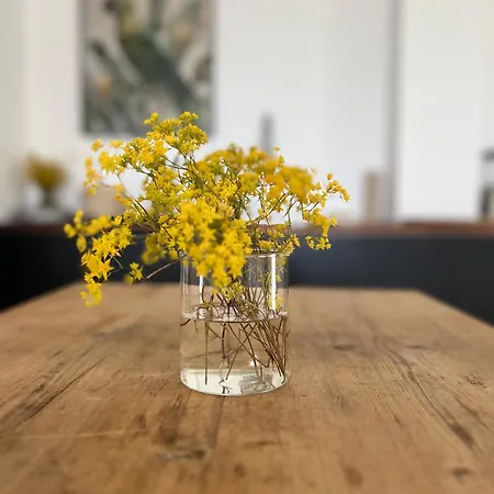 Sol Melba Boutique -